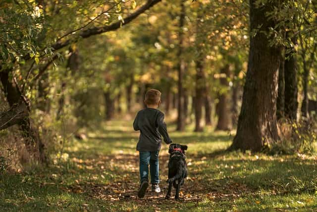 犬に好かれるために意識すること