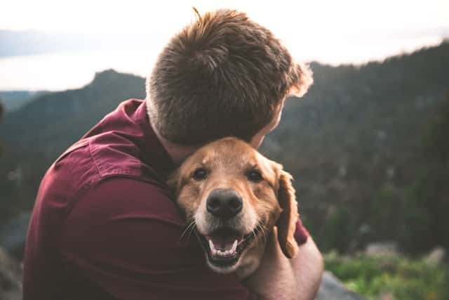 犬にとっていい人とは？