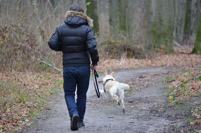 犬から嫌われる体臭