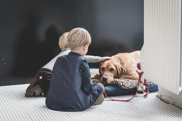 犬が寝る時に電気を消すと吠える場合の対処法