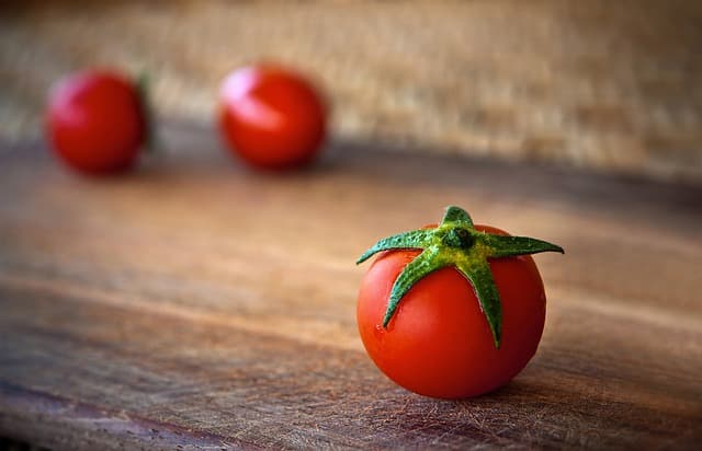 犬にトマトを食べさせるときの注意点