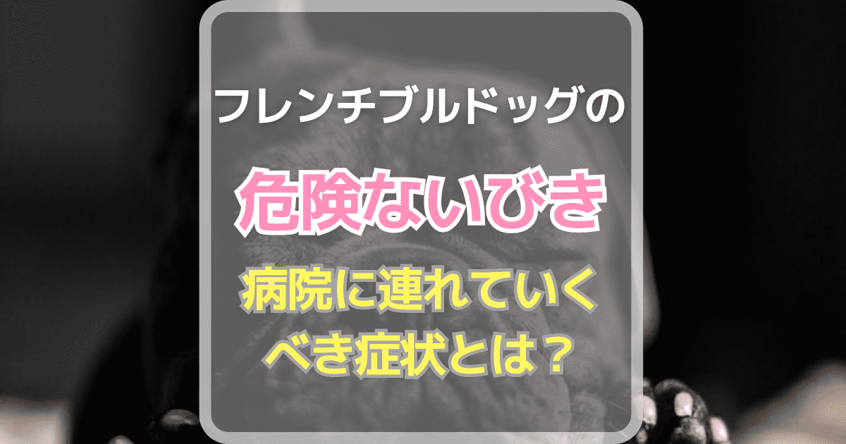 【フレンチブルドッグの危険ないびき】病院に連れていくべき症状とは？