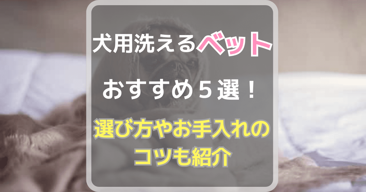 犬用洗えるベッドおすすめ5選！選び方やお手入れのコツも紹介