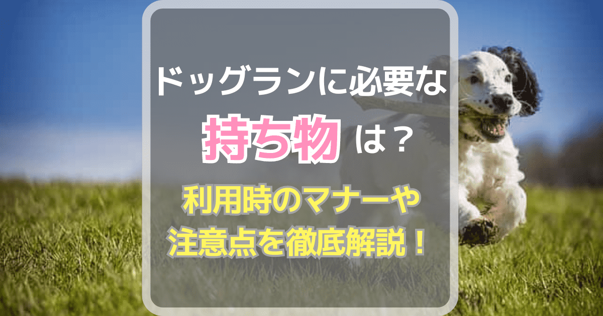 ドッグランに必要な持ち物は？利用時のマナーや注意点を徹底解説！