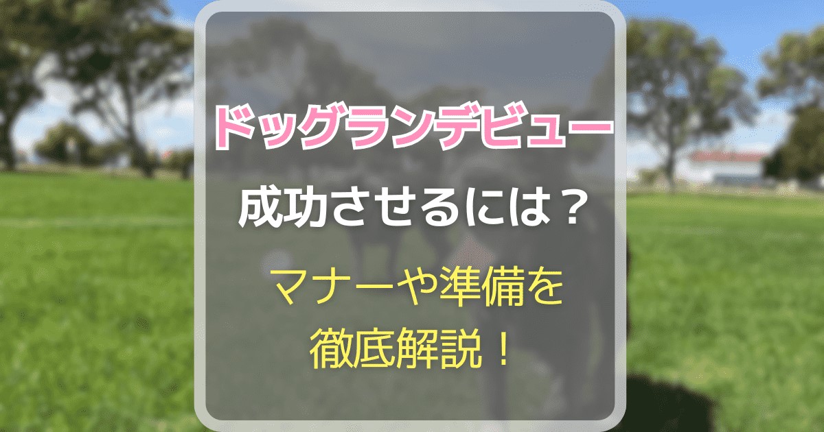 ドッグランデビューを成功させるには？マナーや準備を徹底解説！