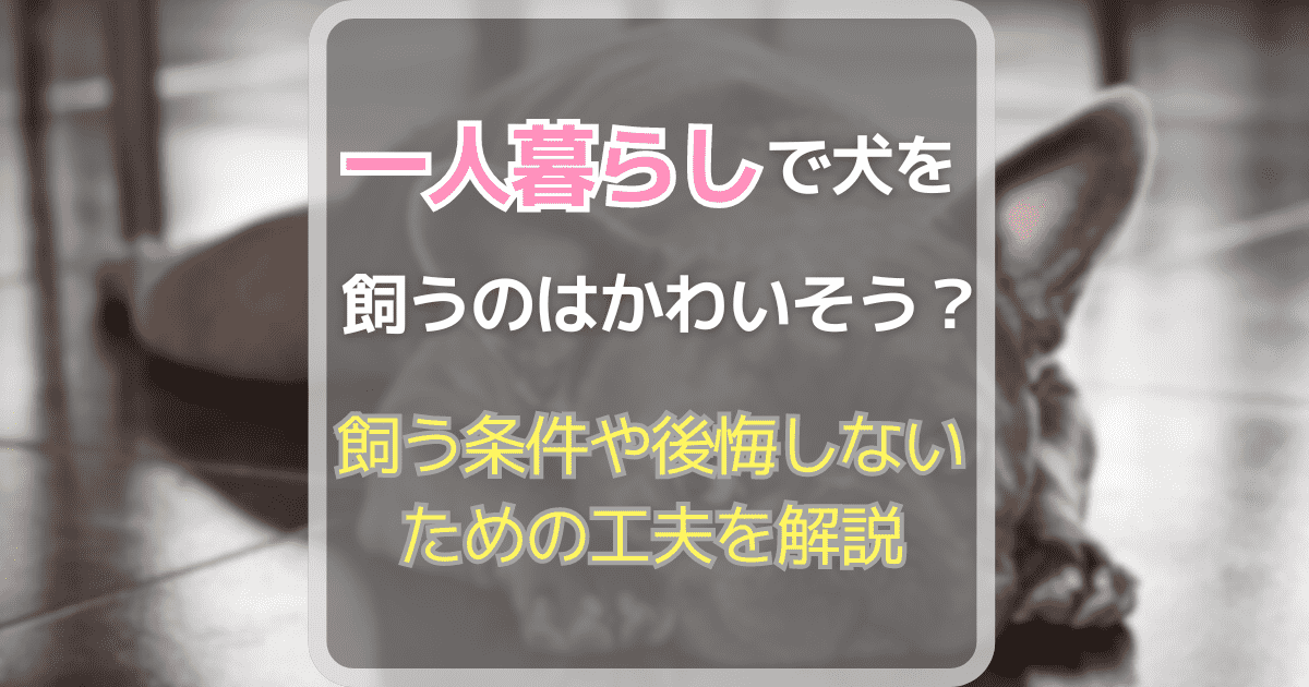 一人暮らしで犬を飼うのはかわいそう？飼う条件や後悔しないための工夫を解説