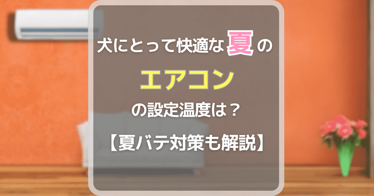 犬にとって快適な夏のエアコン設定温度は？【夏バテ対策も解説】