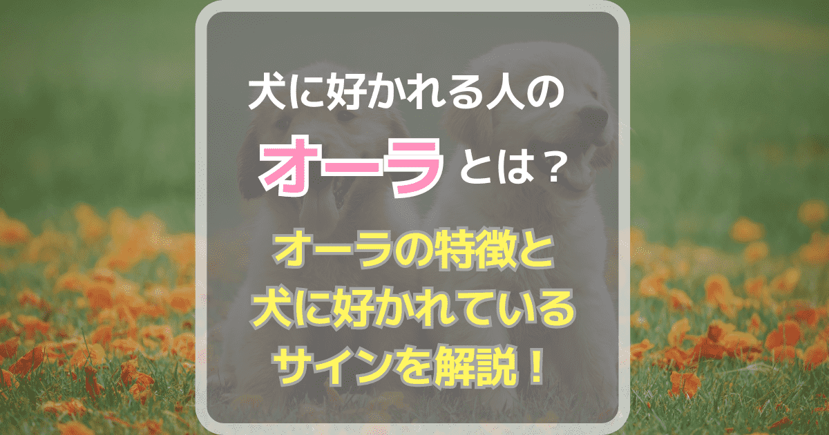 犬に好かれる人のオーラとは？オーラの特徴と犬に好かれているサインを解説！