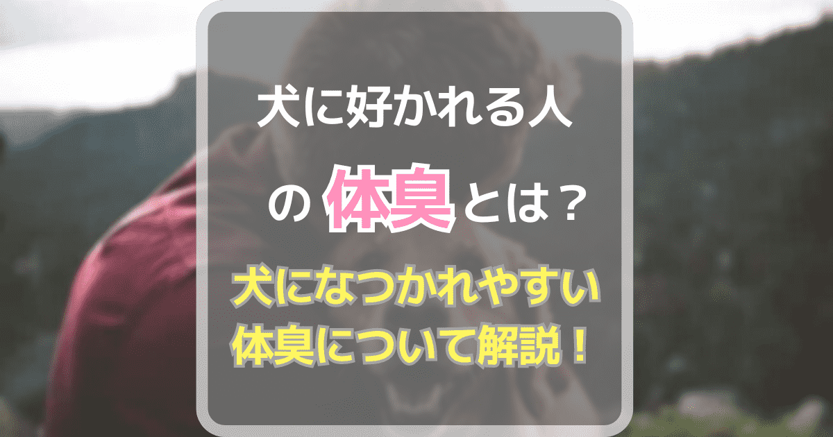 犬に好かれる人の体臭とは？犬になつかれやすい体臭について解説！