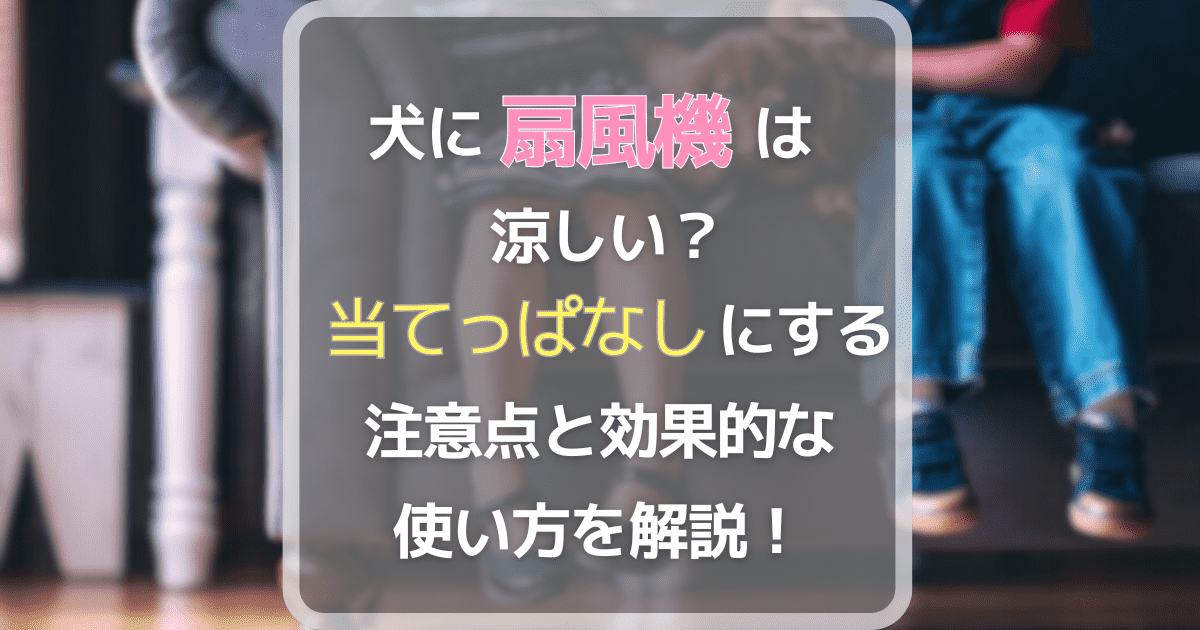 犬に扇風機は涼しい？当てっぱなしにする注意点と効果的な使い方を解説！