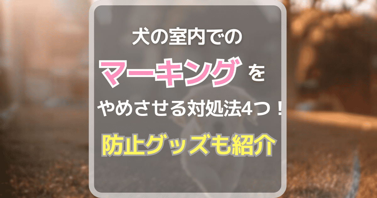 犬の室内でのマーキングをやめさせる対処法4つ！防止グッズも紹介